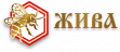 Жива