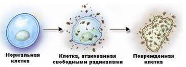 Ресвератрол от Литораль 1.jpg