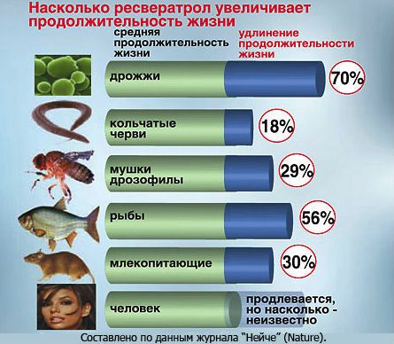 Ресвератрол от Литораль