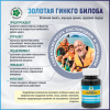 Золотая Гинкго Билоба с алоэ, для мозга, против инсультов, Витамакс (Vitamax), 60 капсул