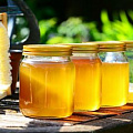 Продукты пчеловодства — «МагазинВитамин»