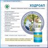 ХондроАп, глюкозами и хондроитин, Витамакс (Vitamax), 60 капсул —  «МагазинВитамин»