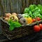 Минеральные комплексы